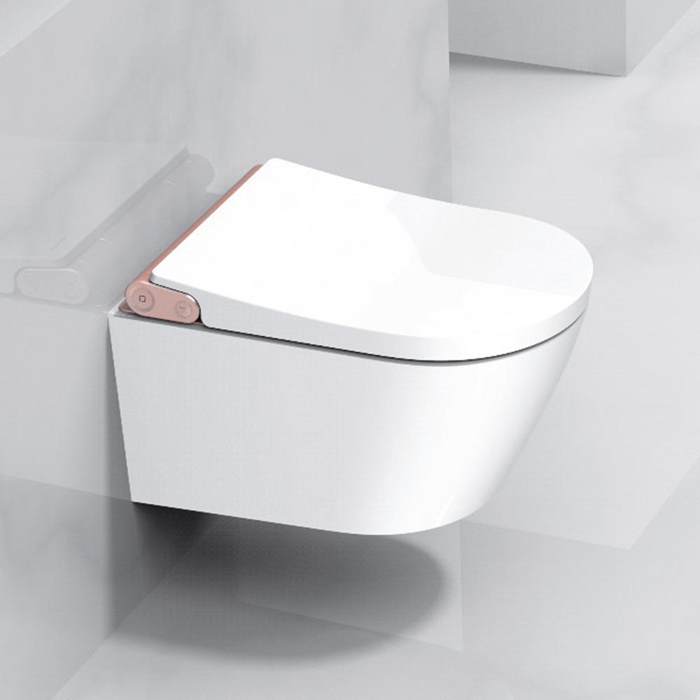 Wall hanging Intelligent toilet with inwall cistern