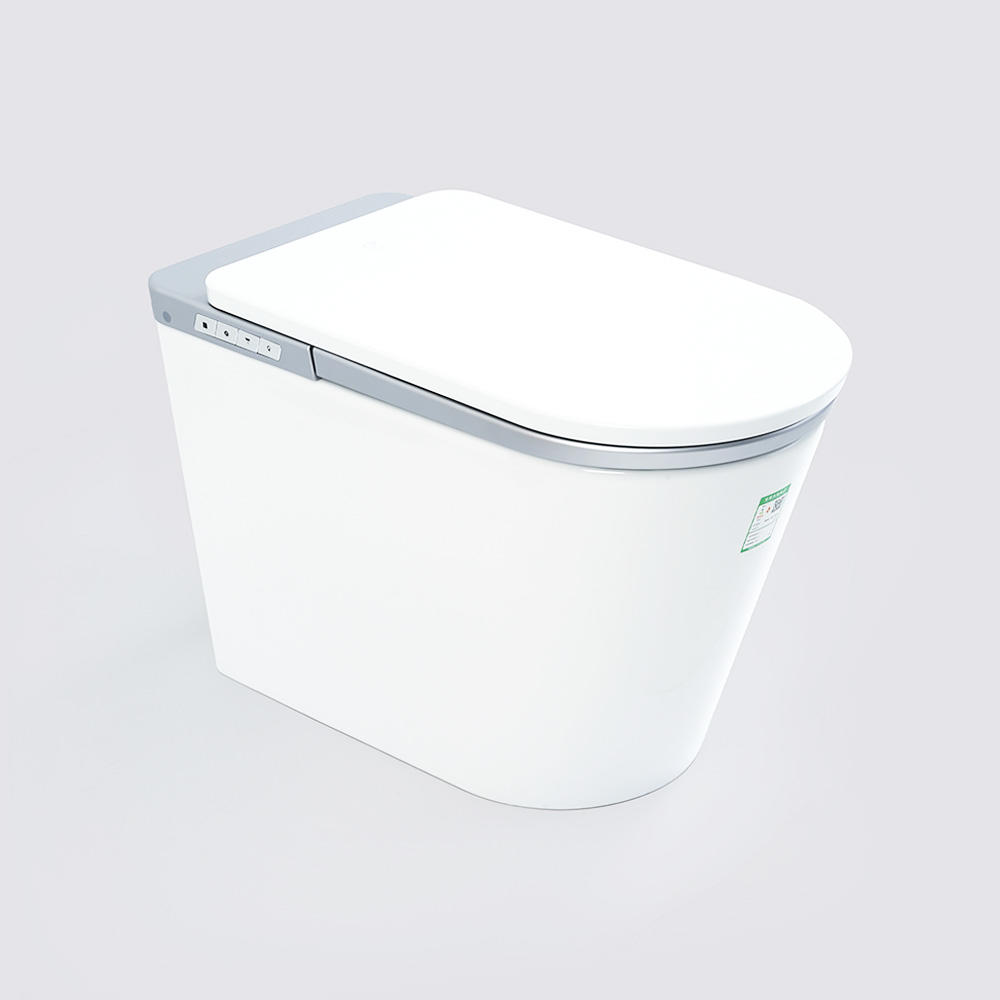 One-piece powerful flushing tankless intelligent toilet upgrade version 2.0.