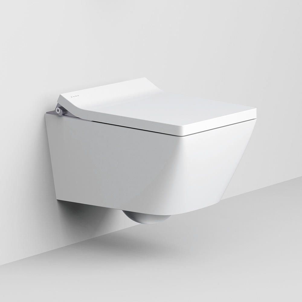 Wall mounted smart bidet toilet with installed tank 